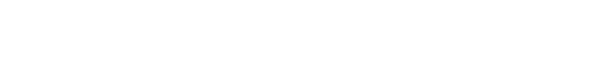BiznisInfo